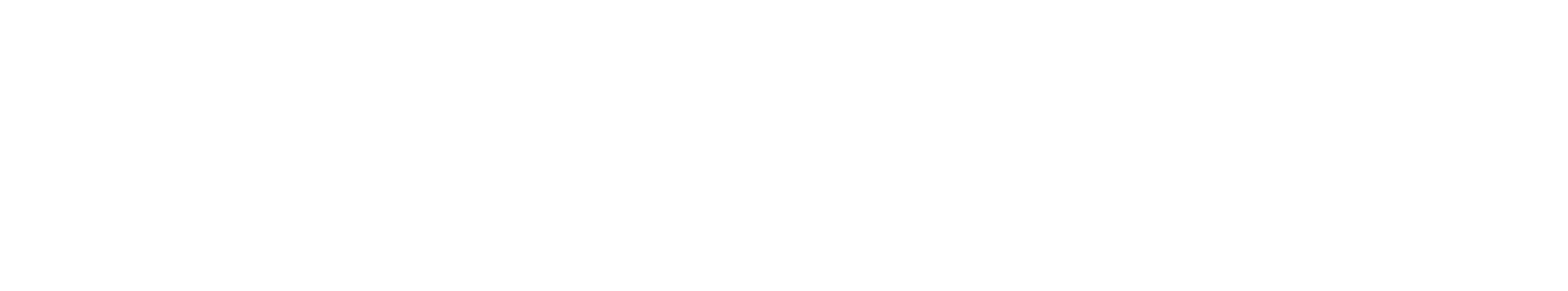 Markenlogo City Girls Berlin Escort Agentur